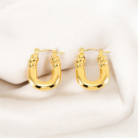 Curved Elegance Earrings